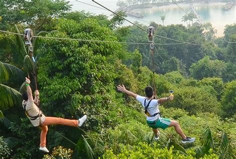 THE 5 BEST Singapore Zipline & Aerial Adventure Parks (2024).